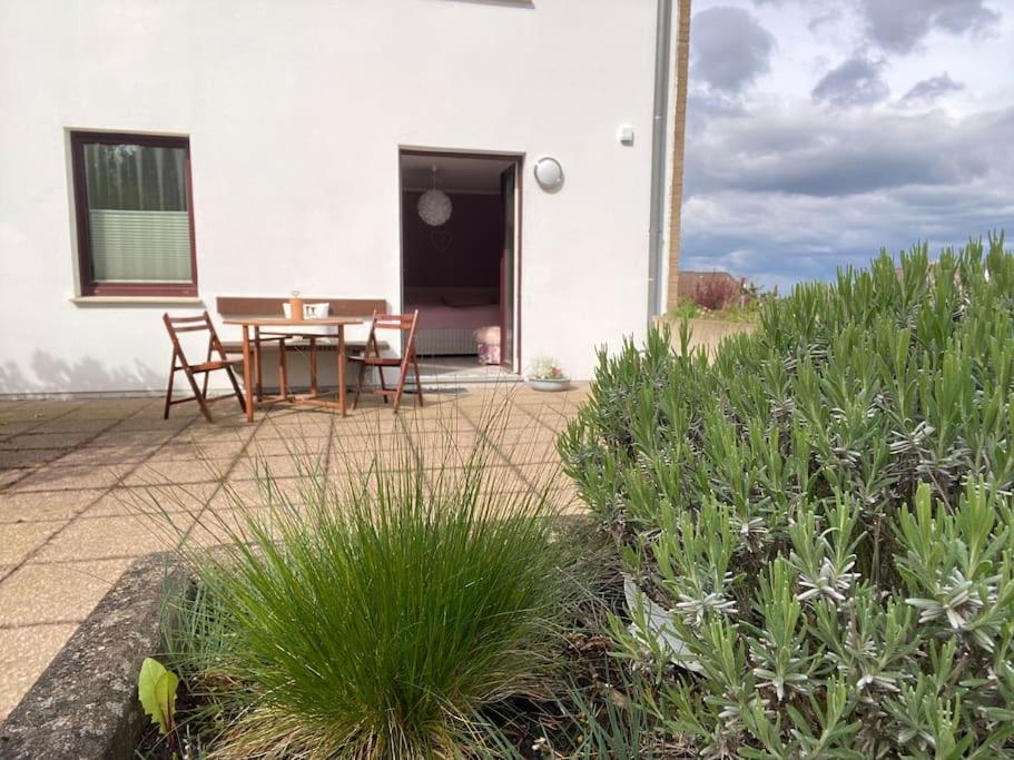 Apartment Am Golfplatz Obernkirchen Экстерьер фото